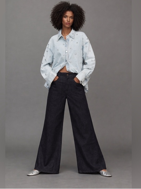 Pilcro Denim - The Adi Mid-Rise Relaxed Flare Pants by Pilcro: Sparkle Edition size 28